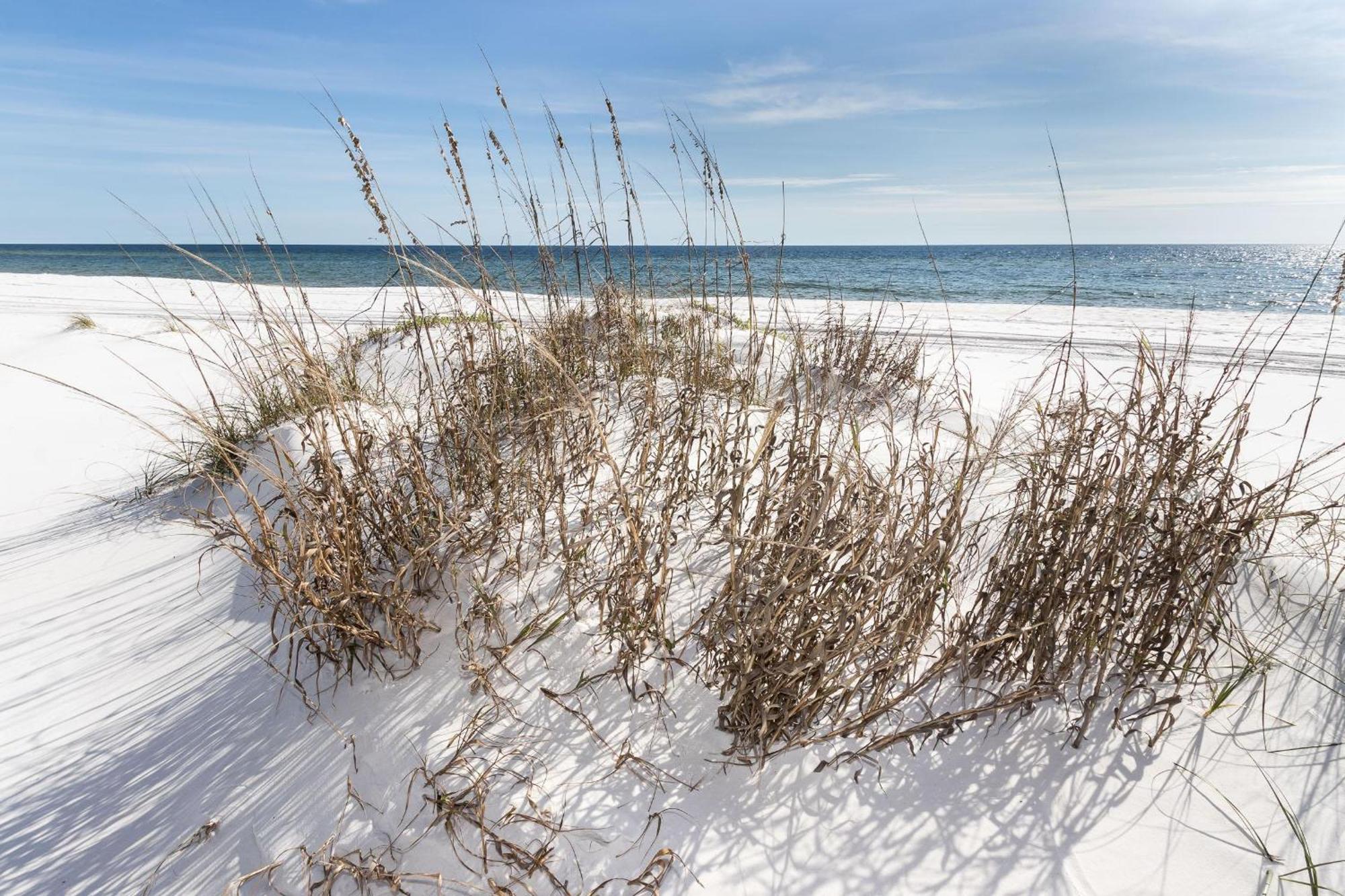 Nautilus Unit 2310 Villa Fort Walton Beach Luaran gambar